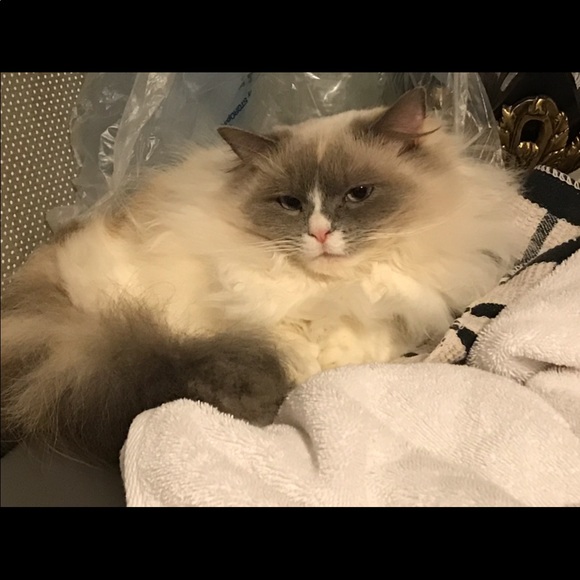 like new black leather buttery soft Wilson’s leather vintage - Picture 16 of 16